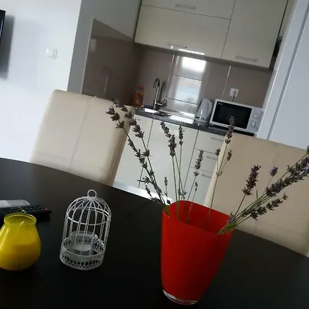Apartman Elena Trogir